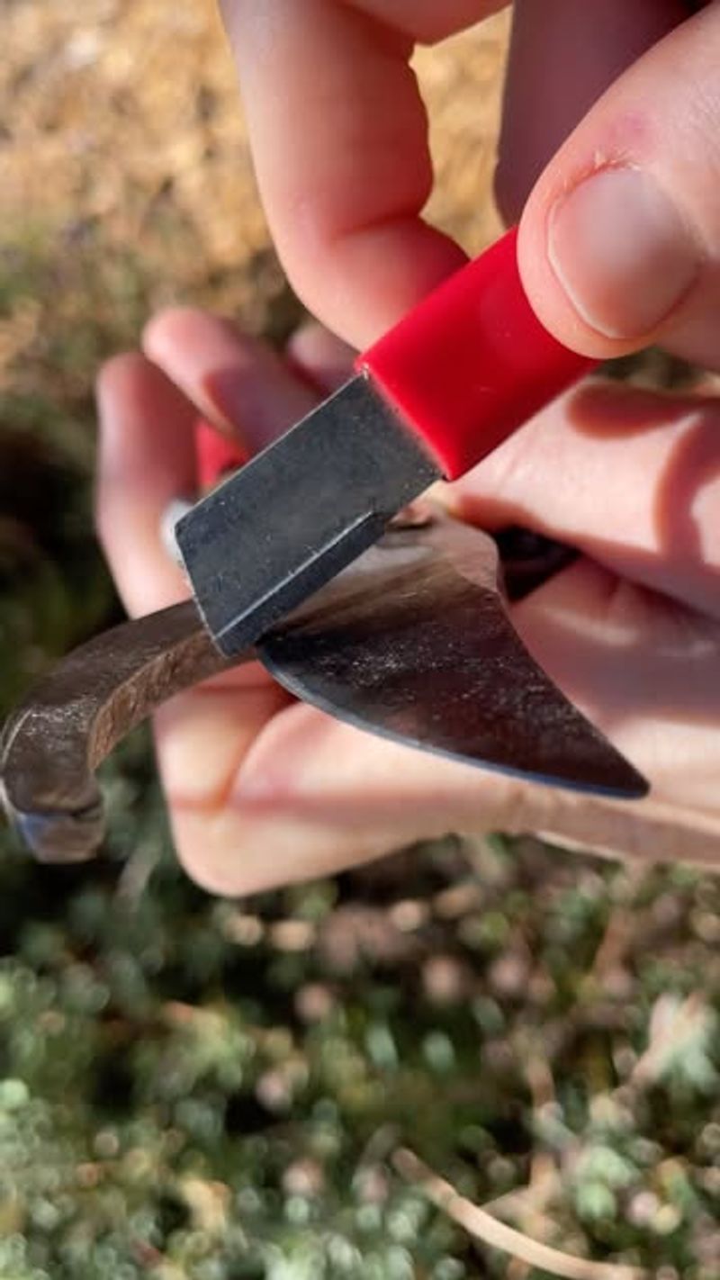 Dull Tools Create Dangerous Wounds