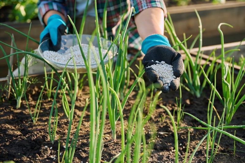 Fertilizing Too Soon