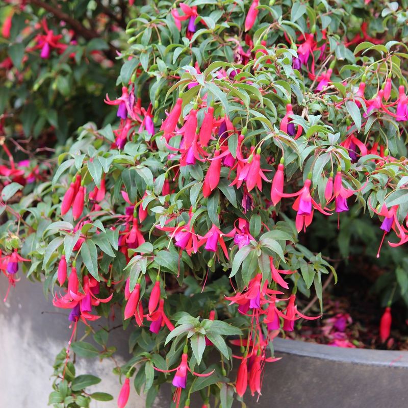 Encourage Air Circulation