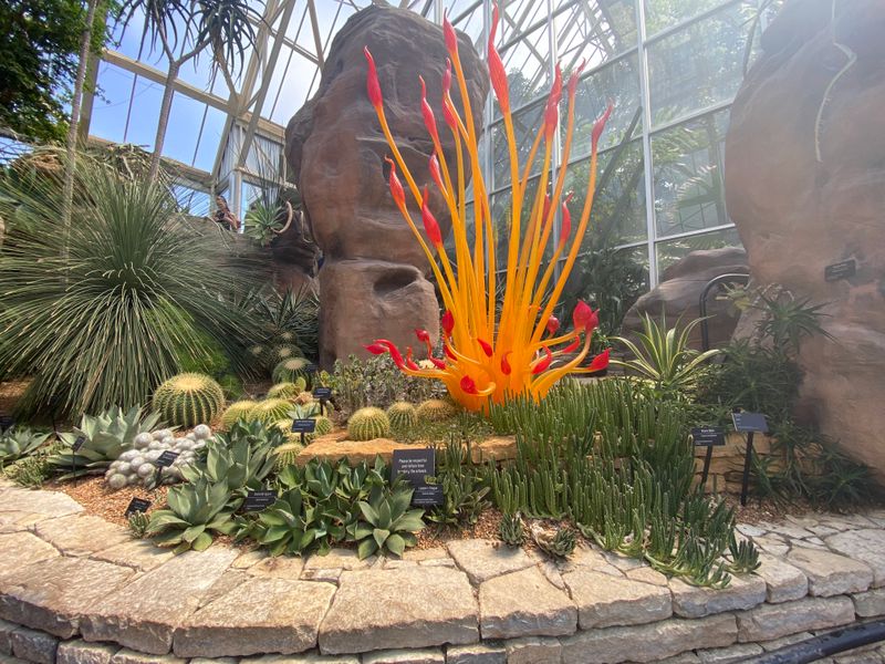 Desert Biome: Surviving And Thriving In Arid Conditions