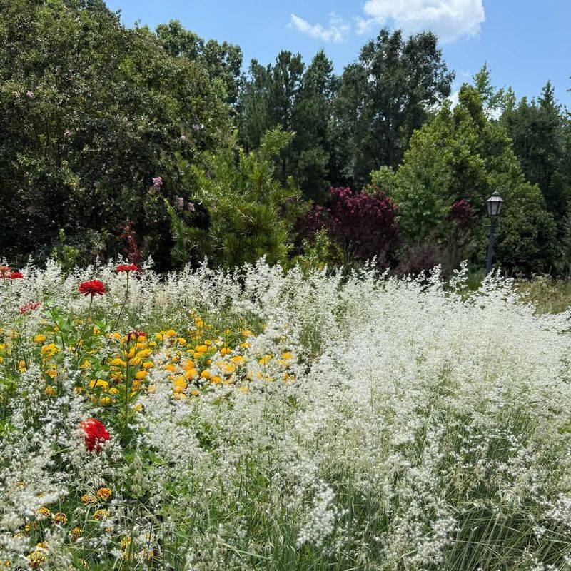 Use Foliage Texture To Add Visual Interest