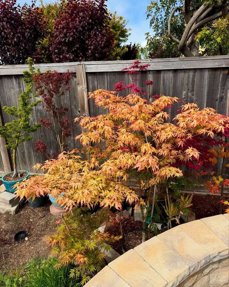 Add One Statement Plant To Ground The Entire Combination