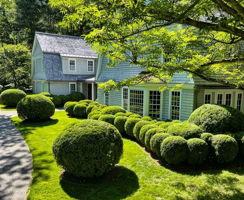 Adds Classic Charm And Boosts Curb Appeal