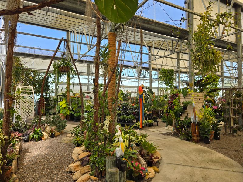 Rockledge Gardens: Long-Lasting Blooms For Florida Homes