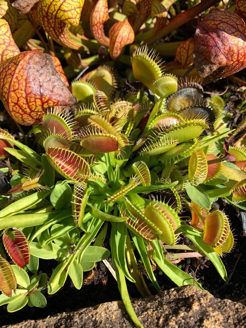 Focus On Conservation And Ecology