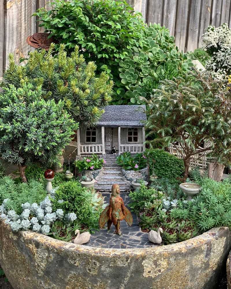 Small Sedum Handles Georgia Heat Without Losing Its Magic