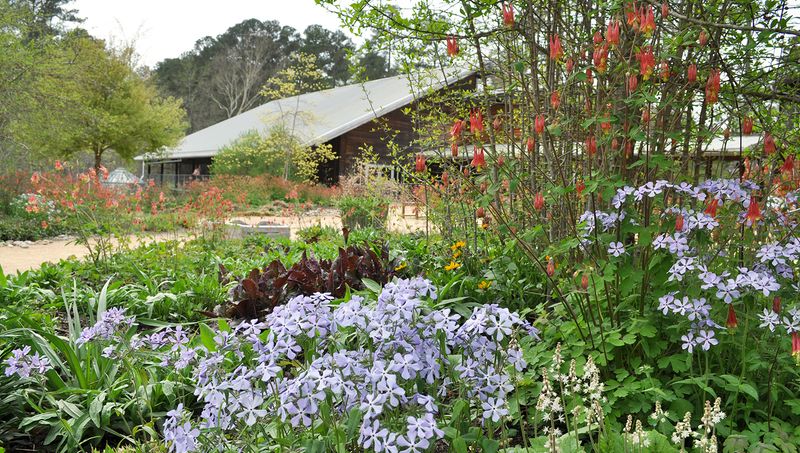 A Great Place To Learn About Native Plants