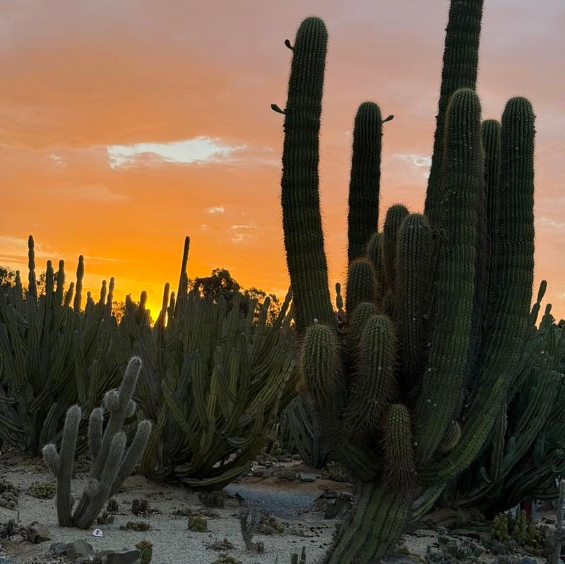 Fall Adjustments As Nights Start Cooling Down