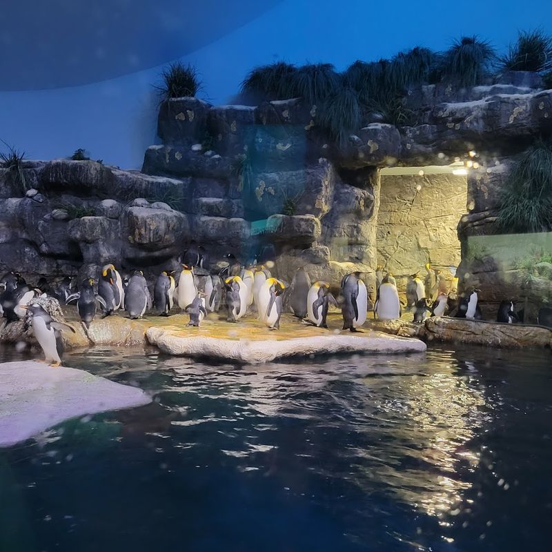 It's Both Educational And Entertaining