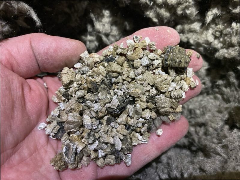 Vermiculite Helps Hold Moisture And Nutrients