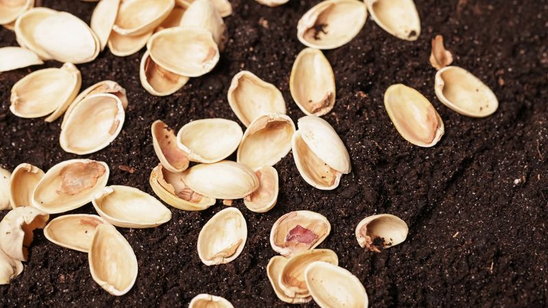 Sustainable Waste Reduction