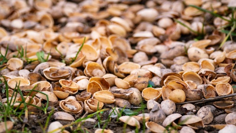 Sustainable Waste Reduction