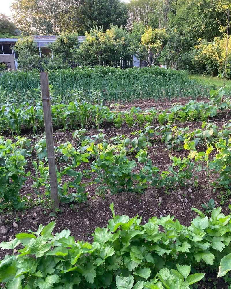 Root Depth Flexibility