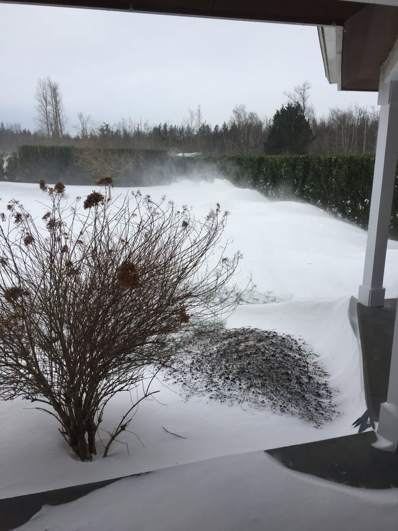 Soil Moisture Levels Improve From Freeze-Thaw Cycles