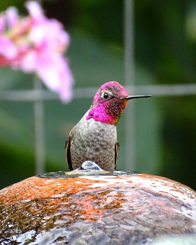 No Fresh Water Available