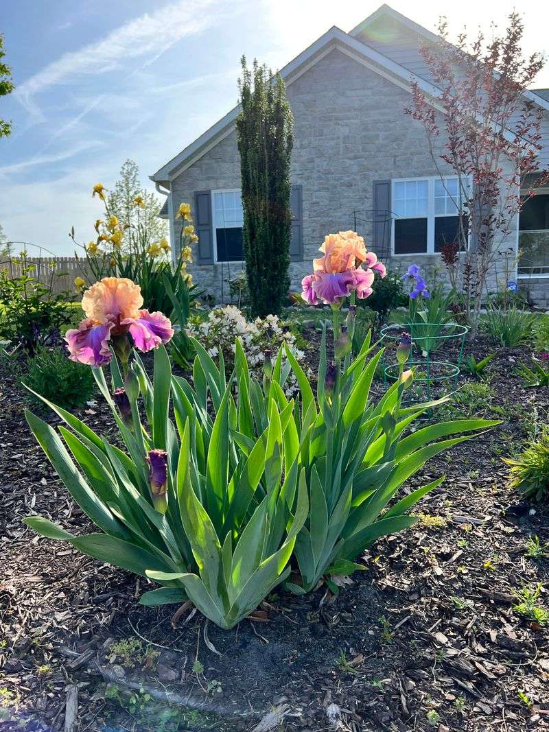 When And How To Fix the Problem