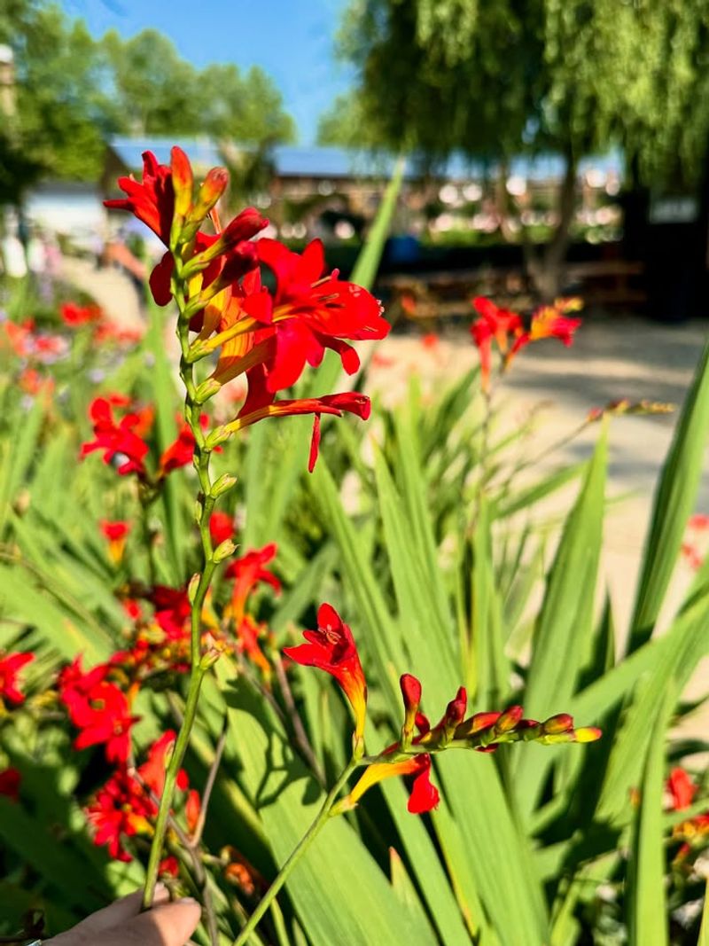 Start Before Ohio's Growing Season Sneaks Up On You