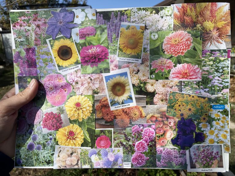 Organize Everything Into One Visual Board