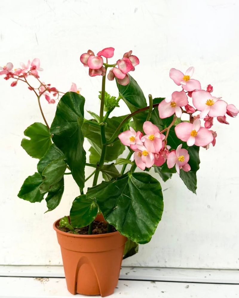 Keep Indoor Temperatures Steady Day And Night