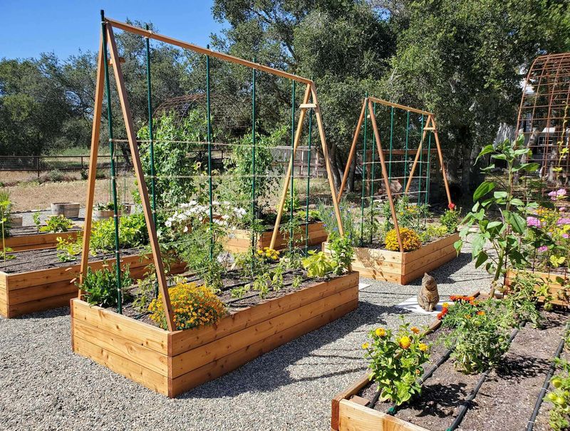 Install Supports And Trellises Before Planting