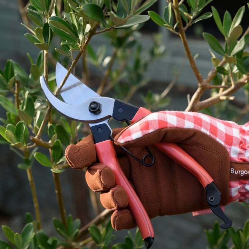 Sharpen Those Garden Tools