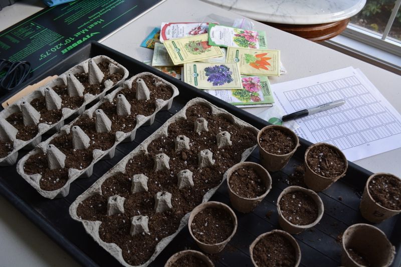 Start Early Seeds Indoors