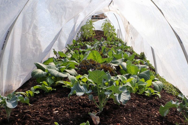 Balancing Benefits And Risks