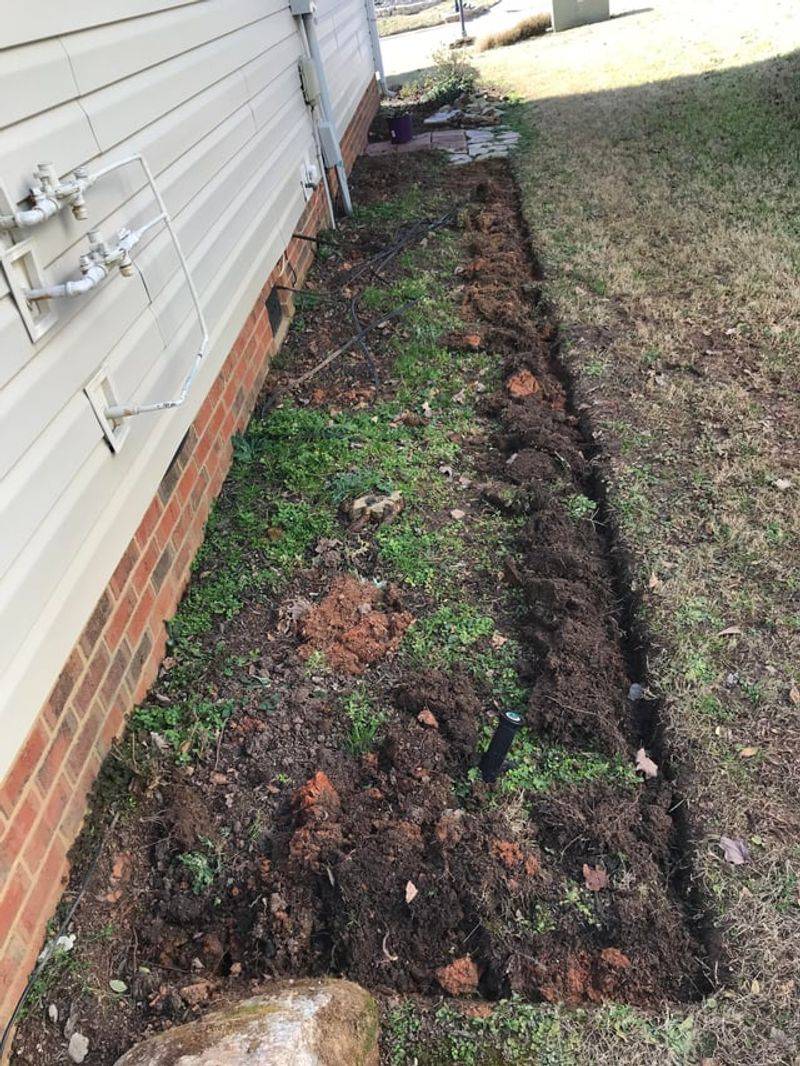 Use Well-Draining Soil