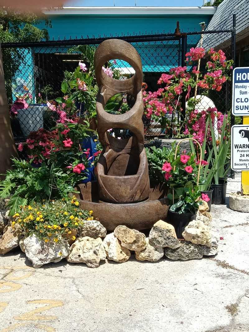 Jene's Tropicals: Tropical Flowers That Keep Blooming