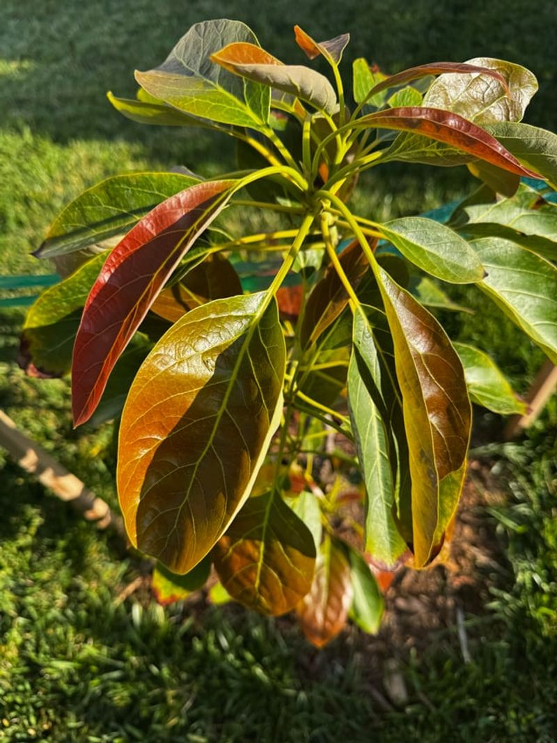 Water Deep, Not Often