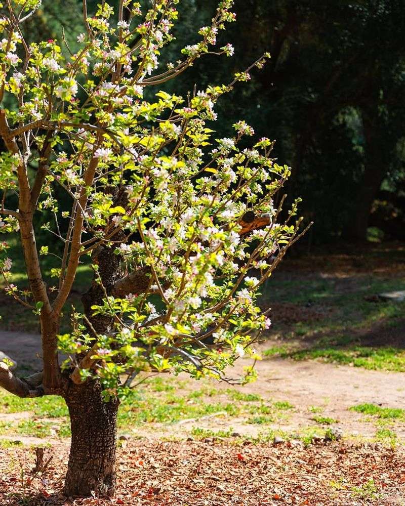 Improve Soil Drainage Before Planting