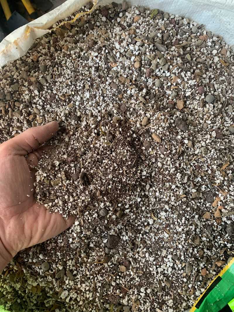 Switch To Fast-Draining Potting Mix Instead Of Garden Soil