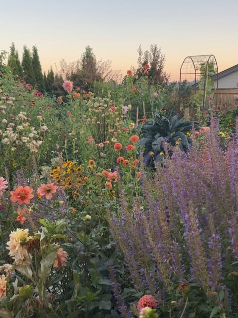 Design For Pollinators, Not Just Looks