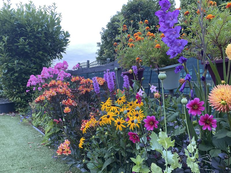 Repeat Colors Across The Bed