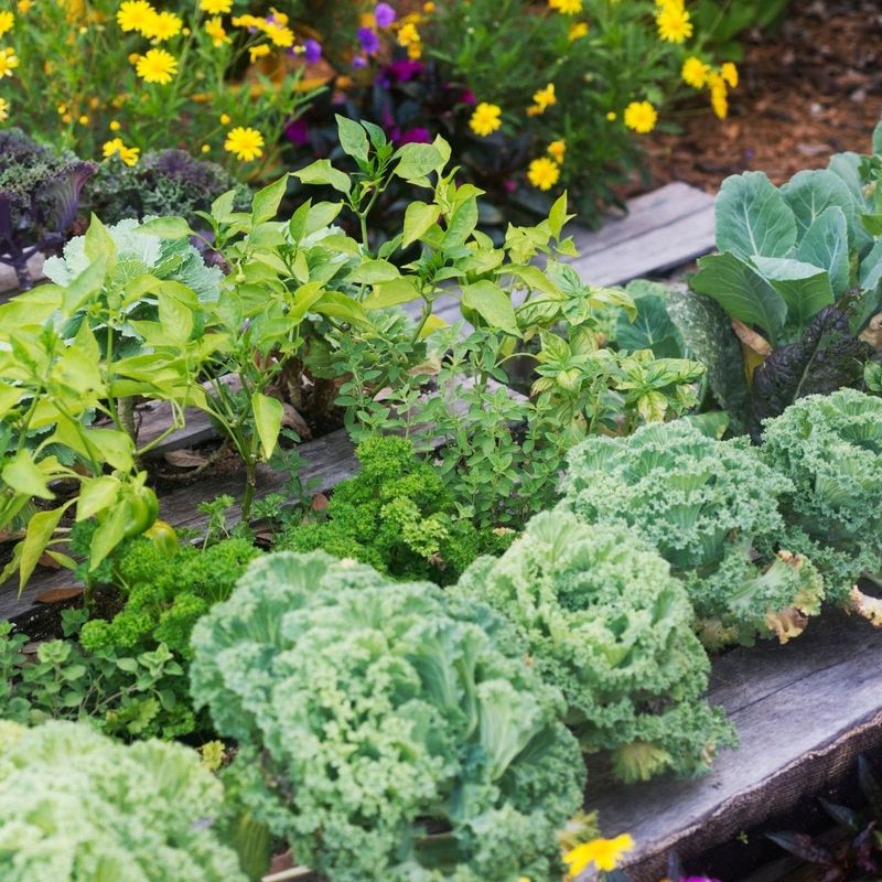 Add Edible Plants That Produce Real Food