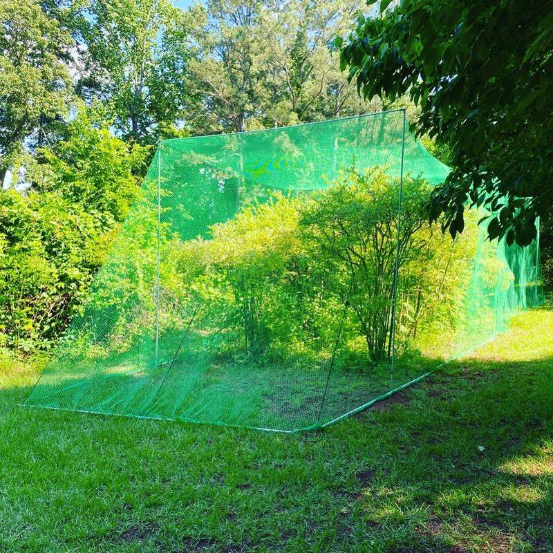 Protect Young Trees With Trunk Guards And Netting