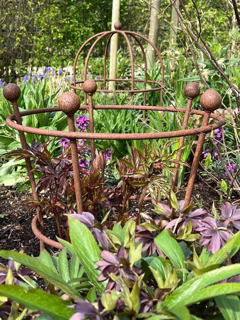 Lack Of Support Lets Flowers Collapse Early