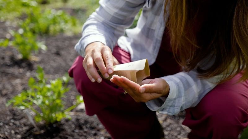 Saving Seeds Means Saving Money