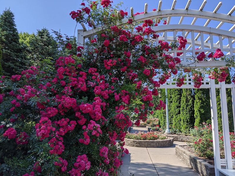 A Free Or Accessible Destination For Garden Lovers