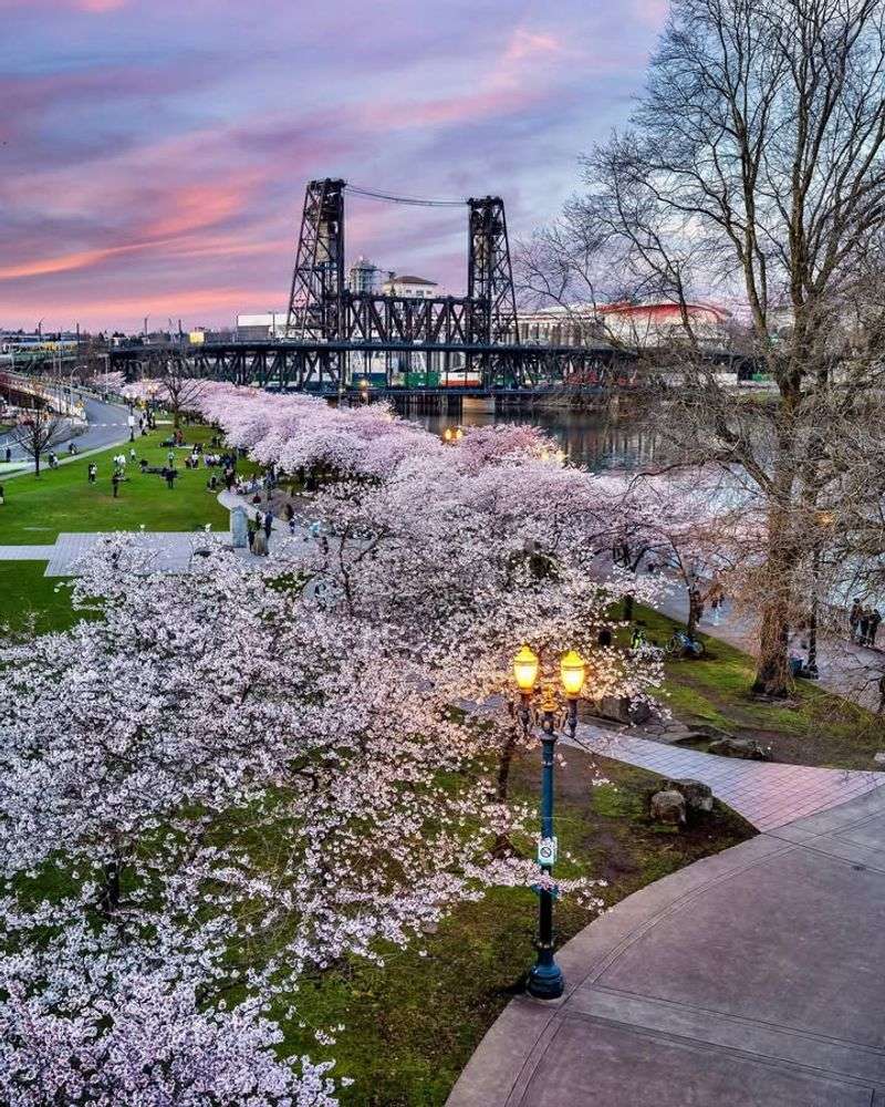 When The First Blossoms Usually Begin To Open