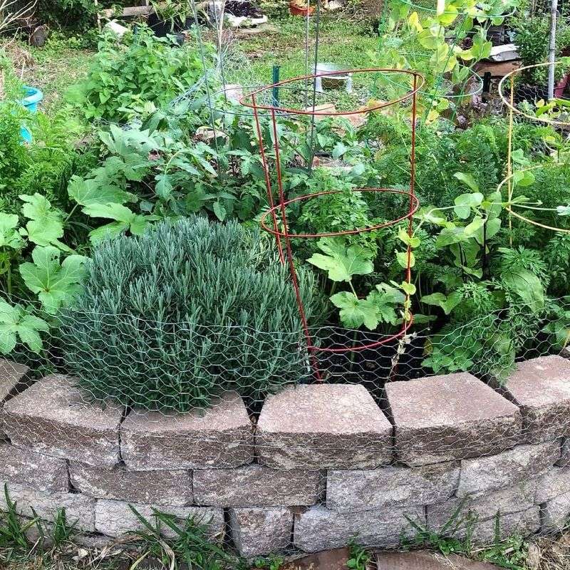 Keep Beds Narrow Enough To Reach From Both Sides