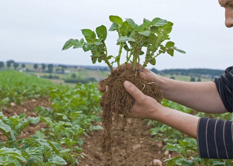 Understanding The Climate In South & Central Texas