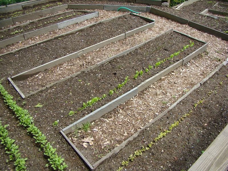 Follow This Proven Raised Bed Soil Formula