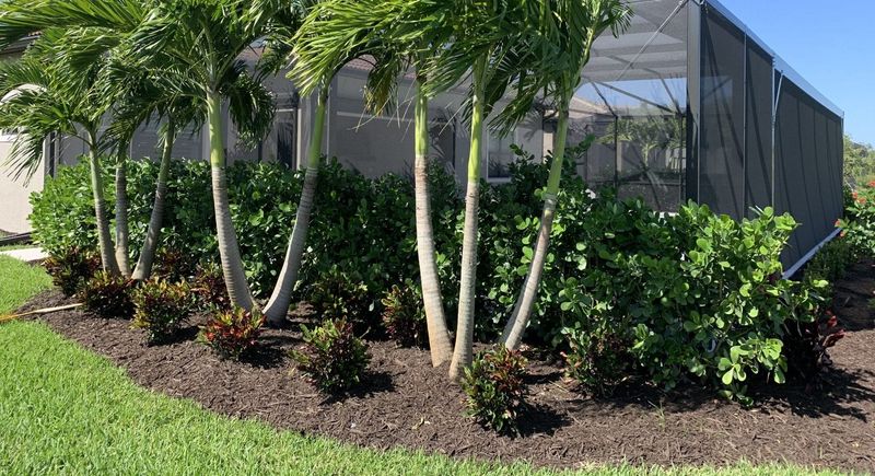 Keep Mulch Away From Trunks And Plant Crowns