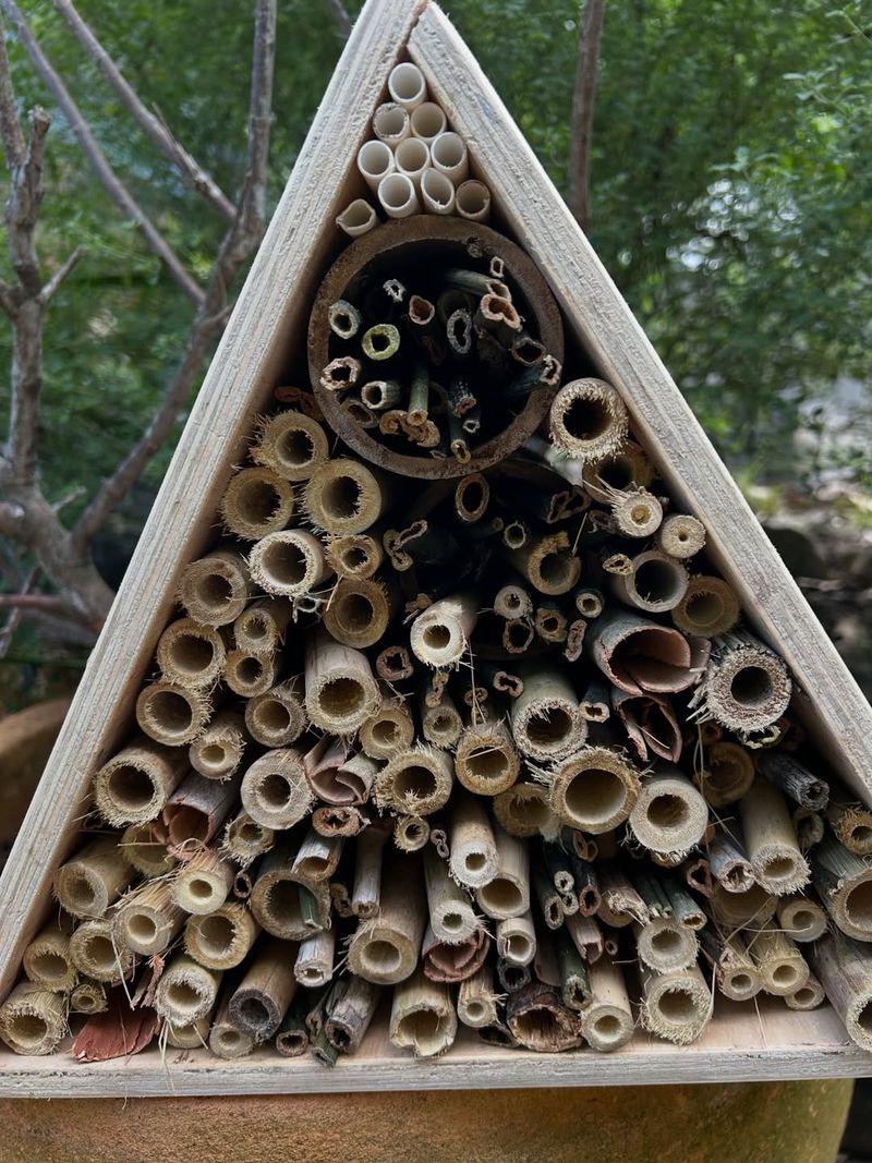 Why Shelter Matters Early