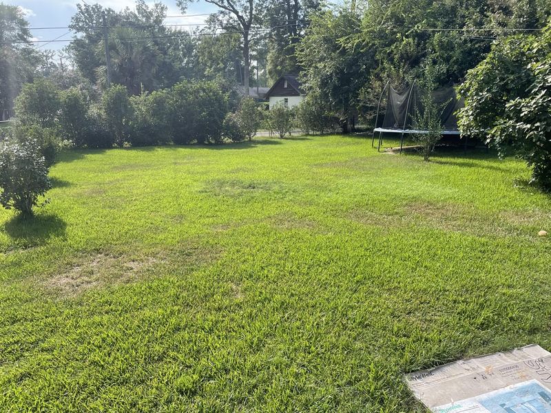 Inspect Lawns For Thin Or Damaged Areas