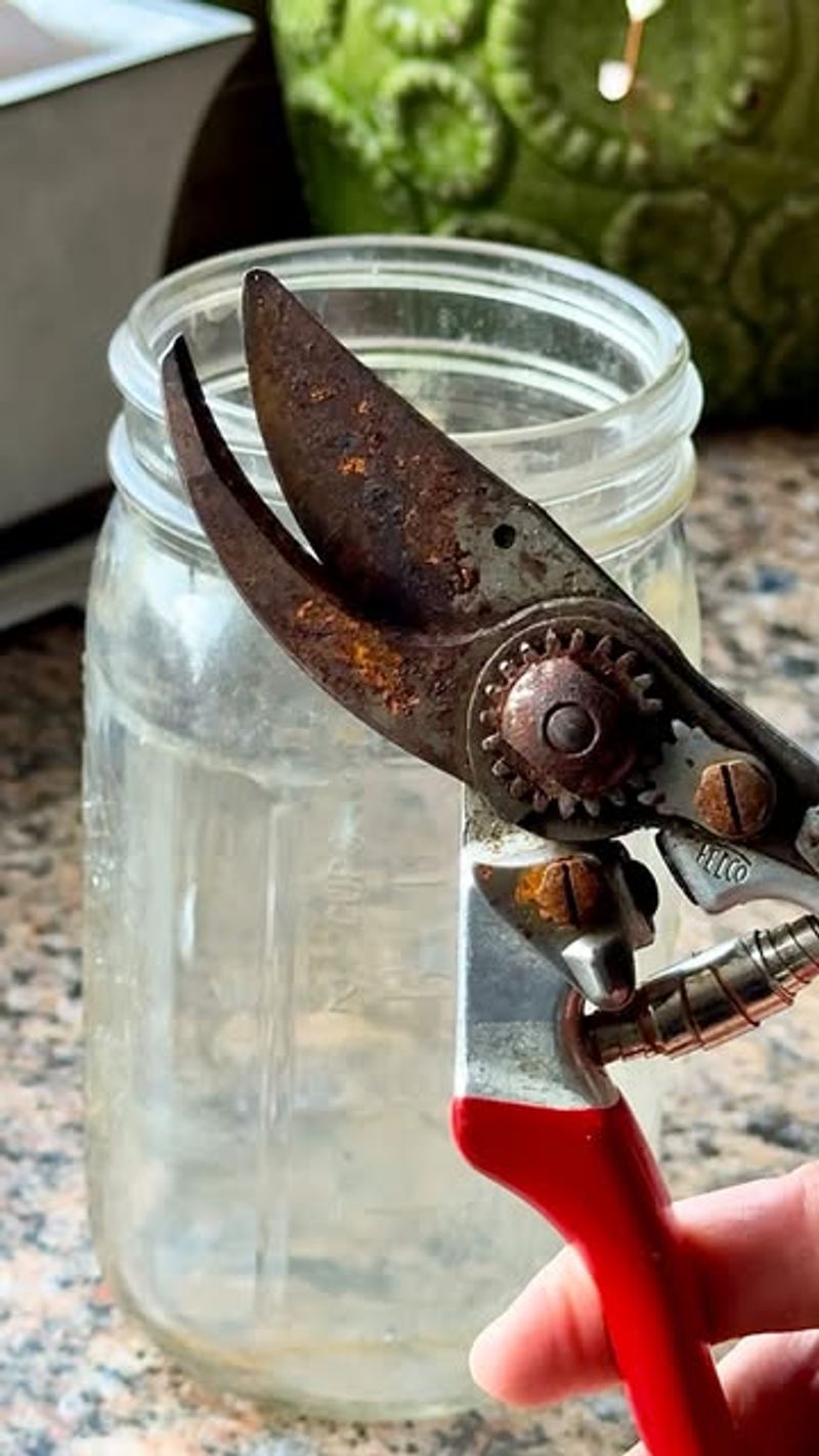 Sharpen And Clean Garden Tools