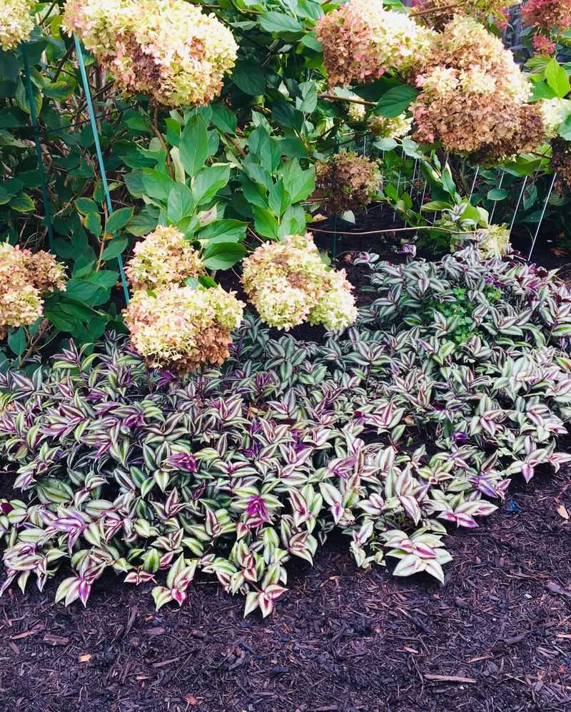 Provide Frost Protection Outdoors