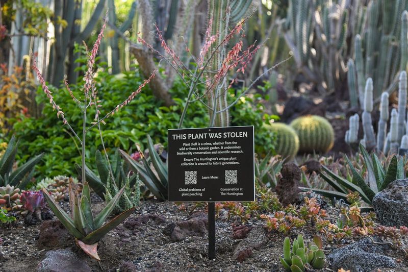 Secret Locations and Security Protocols