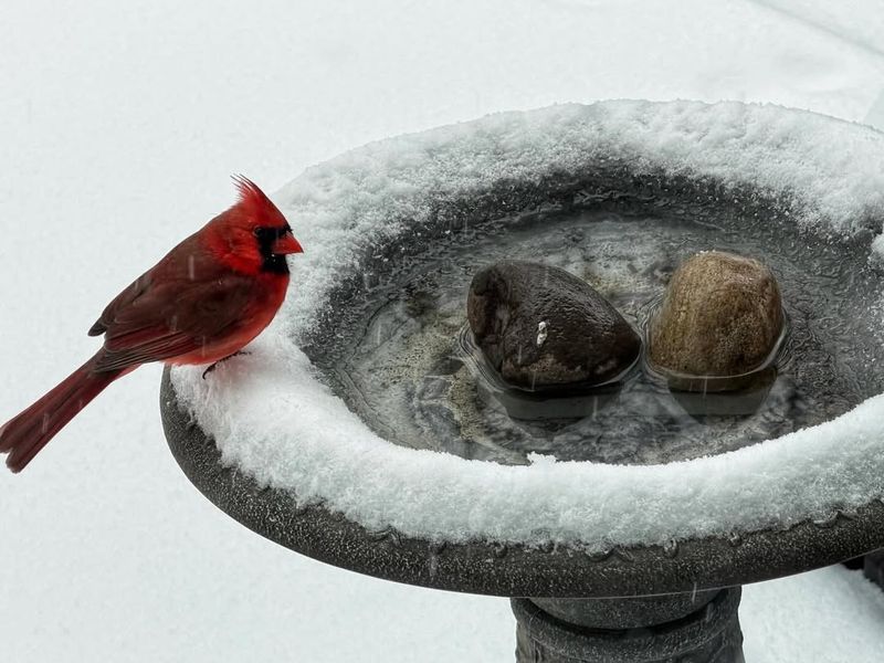 Unfrozen Water Becomes More Valuable Than Food